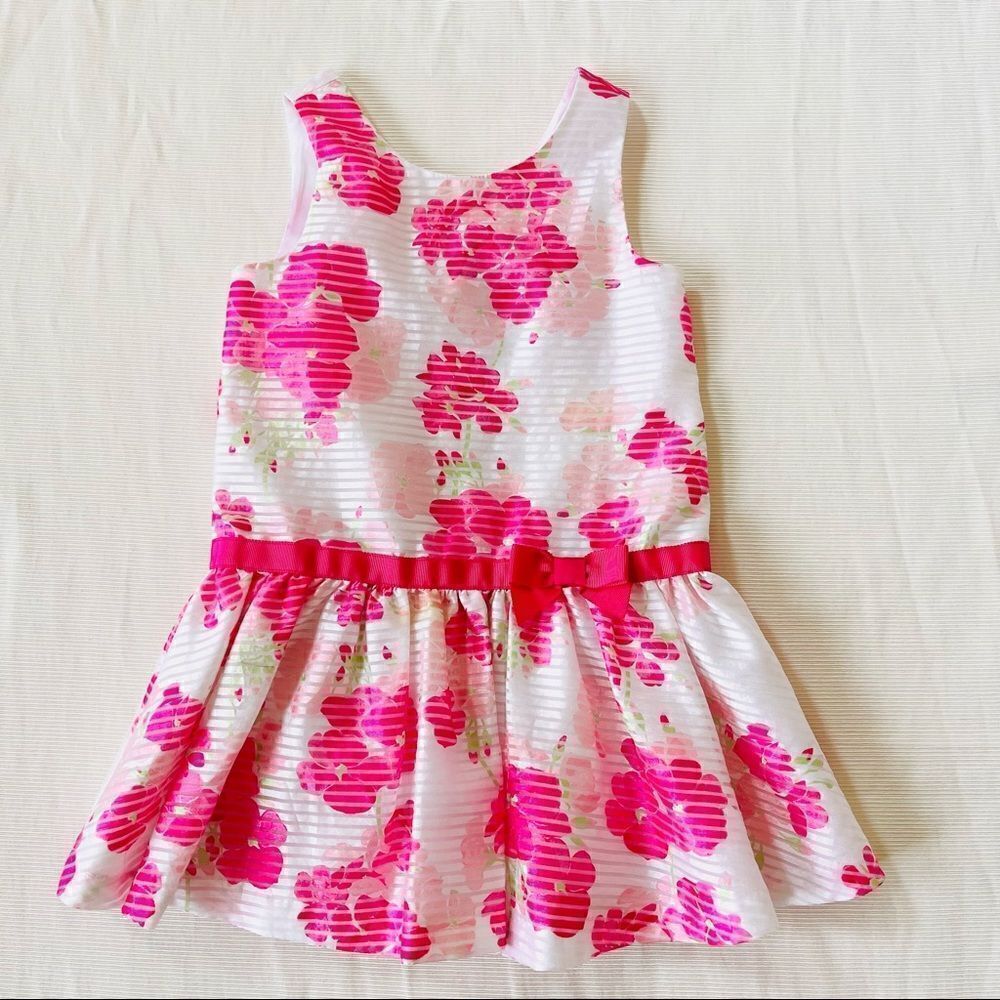 Gymboree Dressed Up Girl Dress Formal Floral Wedding Bridal Flower Sleeveless 4